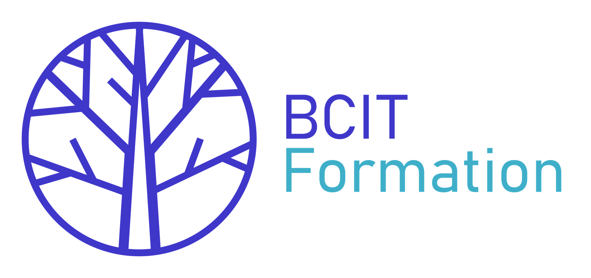 BCIT Formation