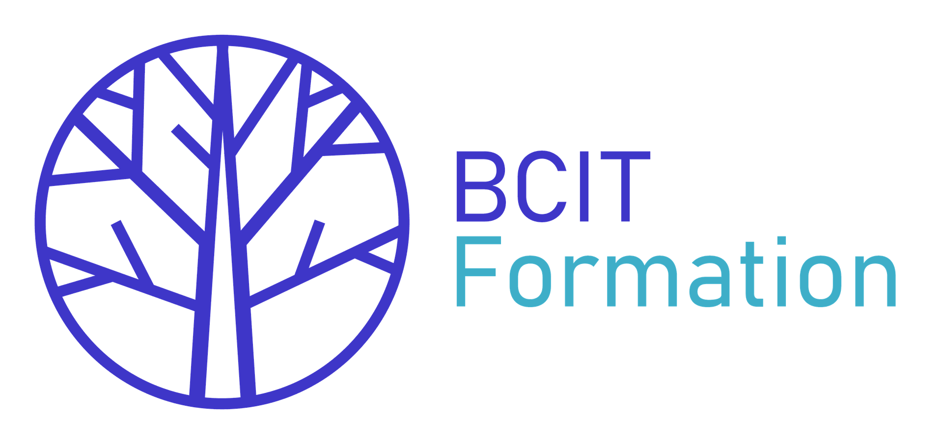 BCIT Formation